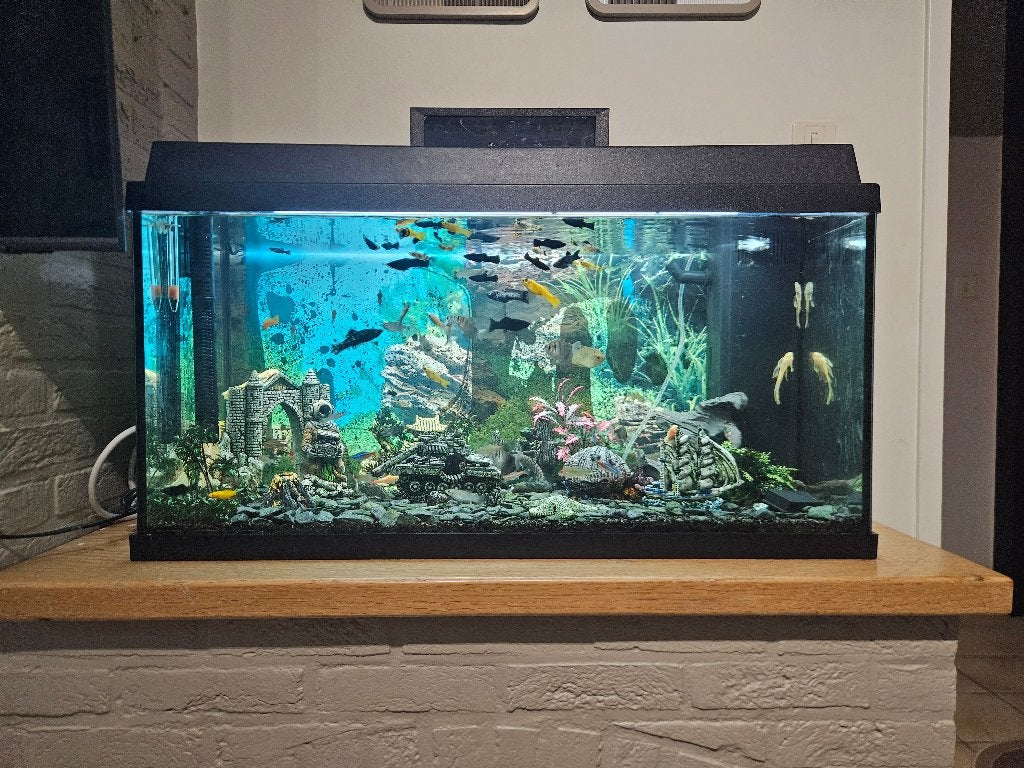 aquarium met alles in, Overige merken, Ophalen, Inclusief vissen, Gevuld zoetwateraquarium