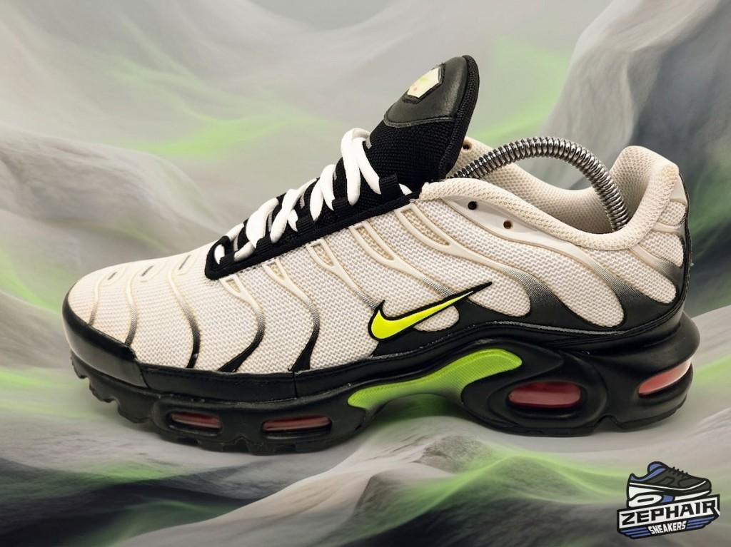 Nike Air Max Plus TN 'Retro Future' EU44 2019, Vêtements | Hommes, Chaussures, Enlèvement ou Envoi, NIKE, Porté, Blanc