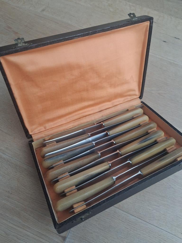 ​Set van 12 vintage vleesmessen – Gembloux 'faux horne', Ophalen of Verzenden