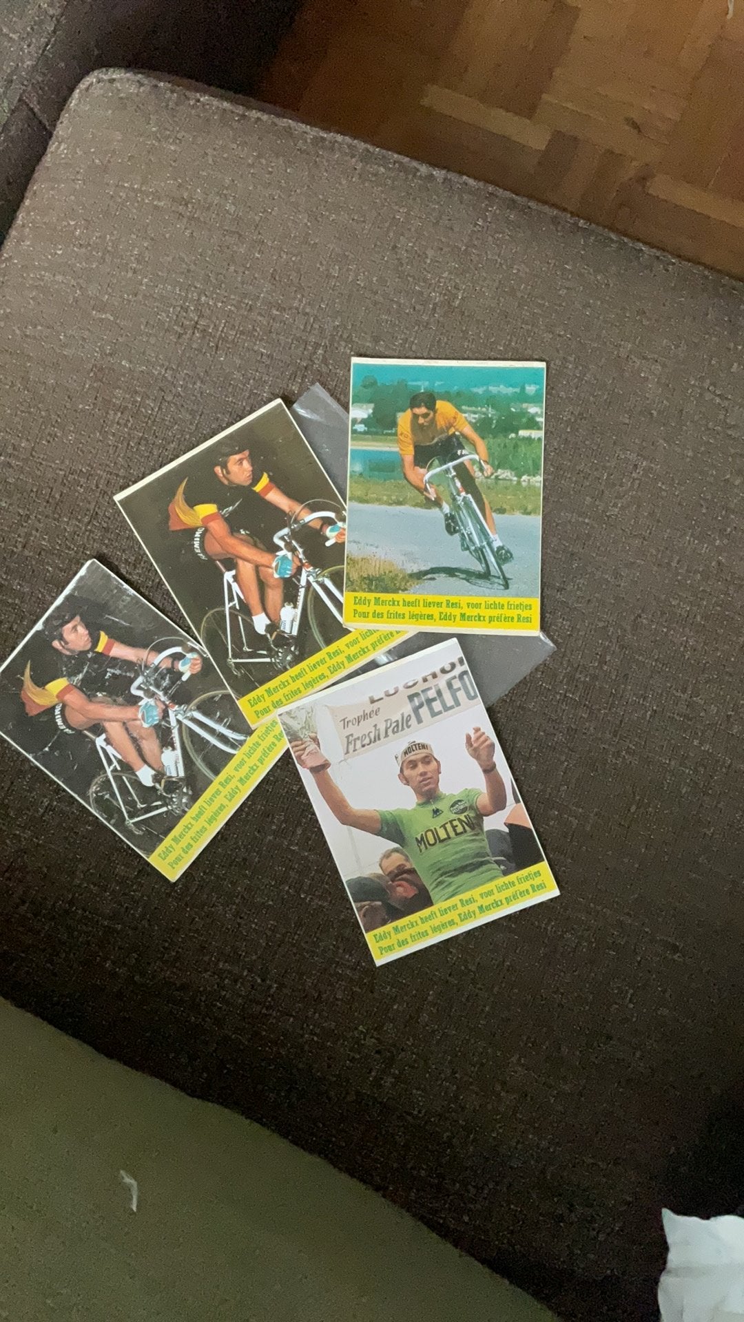 Eddy Merckx vintage stickerstickers in retrostijl, Ophalen of Verzenden, Gebruikt, Meerdere stickers