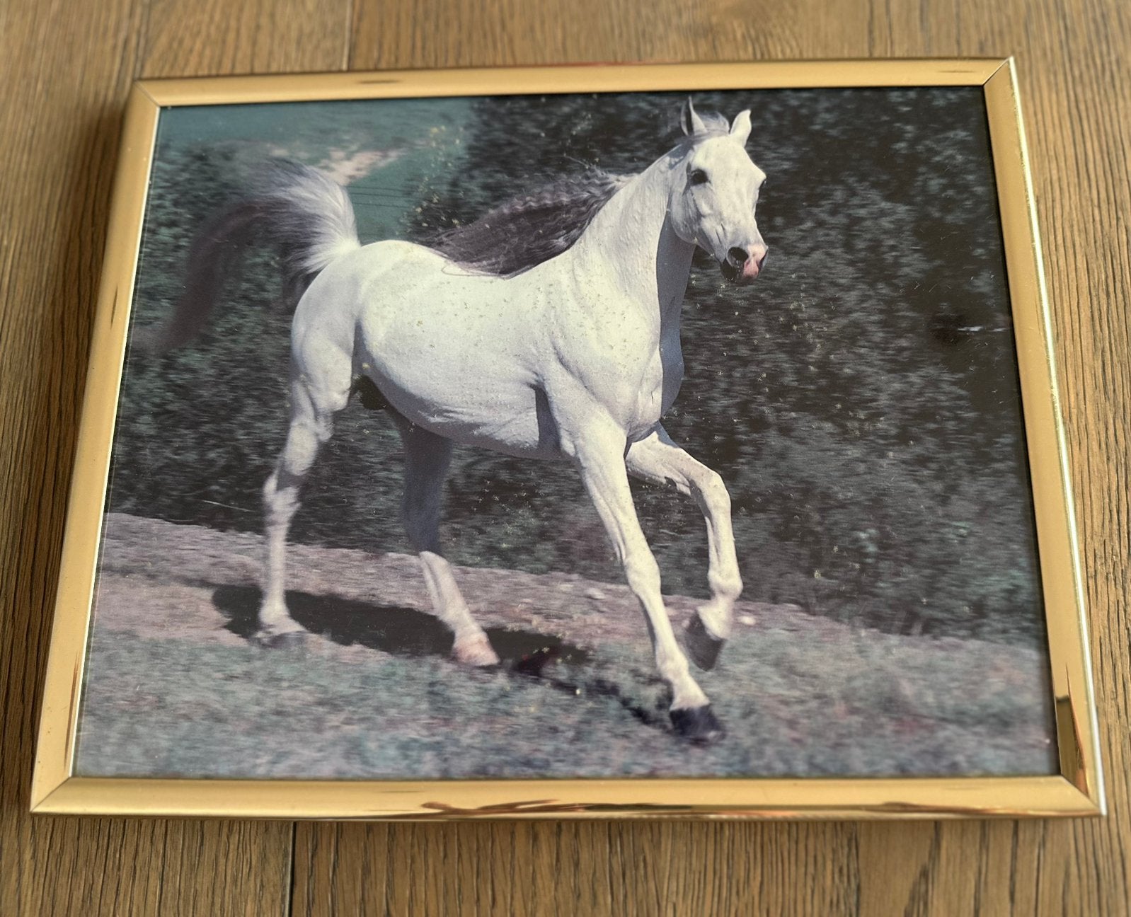 2 mooie kaders met paarden , samen 5€, Collections, Enlèvement