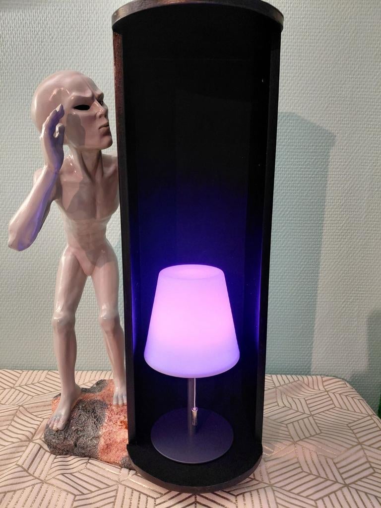Alien met multifunctioneel lampjje, Verzamelen, Ophalen