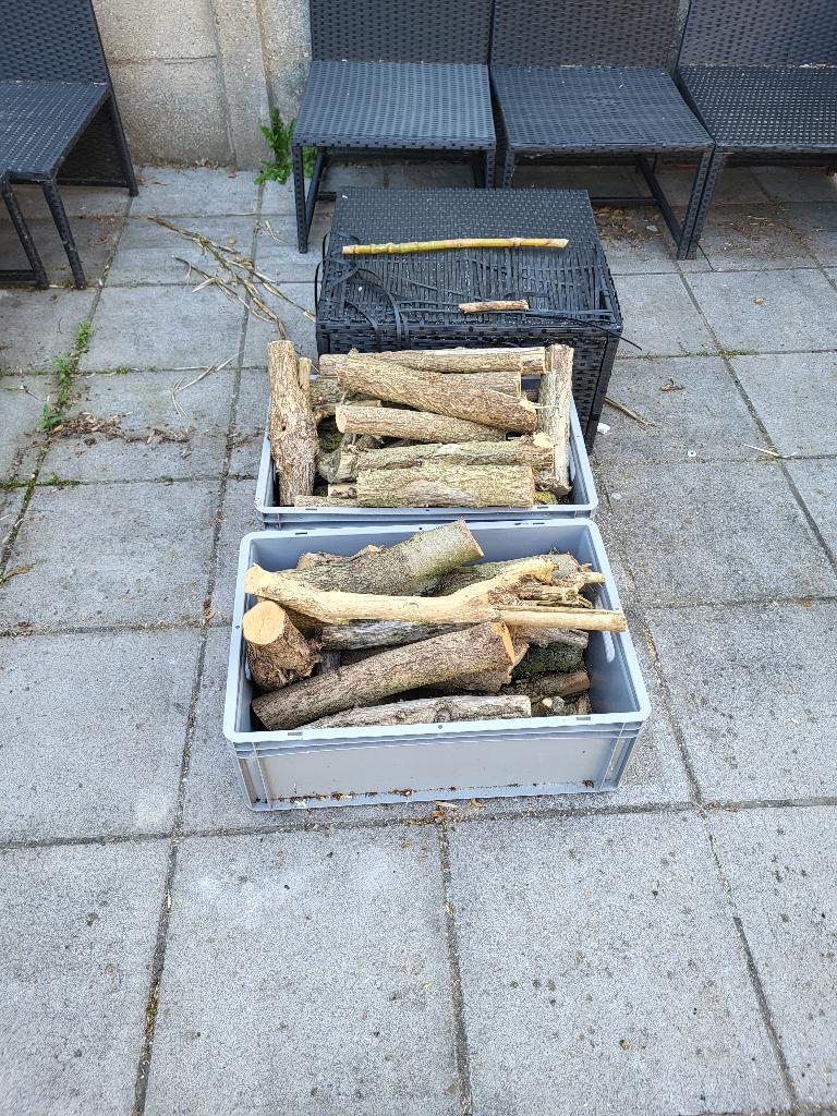 Brandhout, Tuin en Terras, Minder dan 3 m³, Ophalen, Overige houtsoorten, Takken