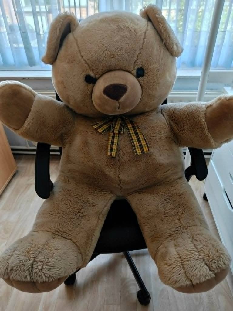grote teddybeer 1m, Enlèvement, Comme neuf