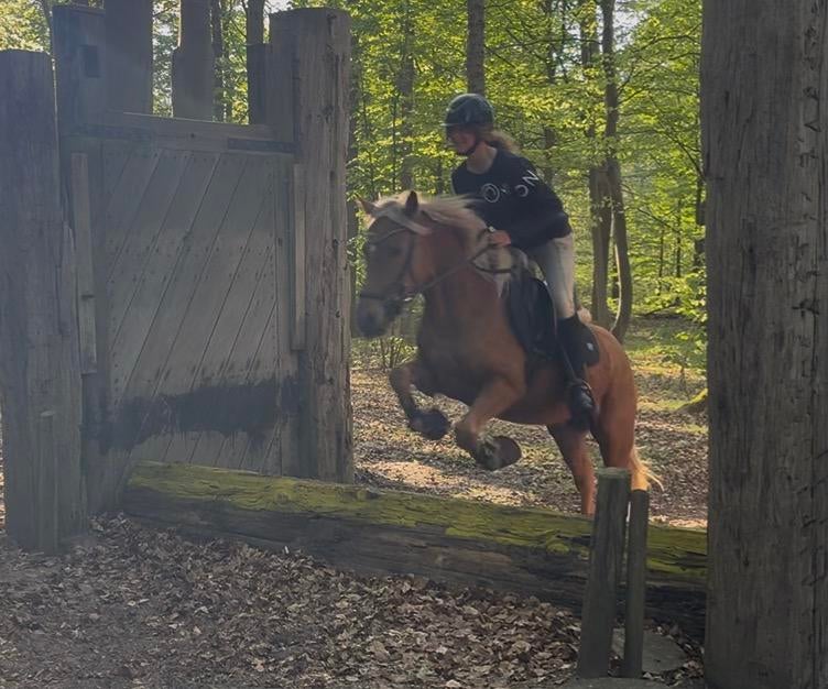 C pony, Dieren en Toebehoren, Pony's, Merrie