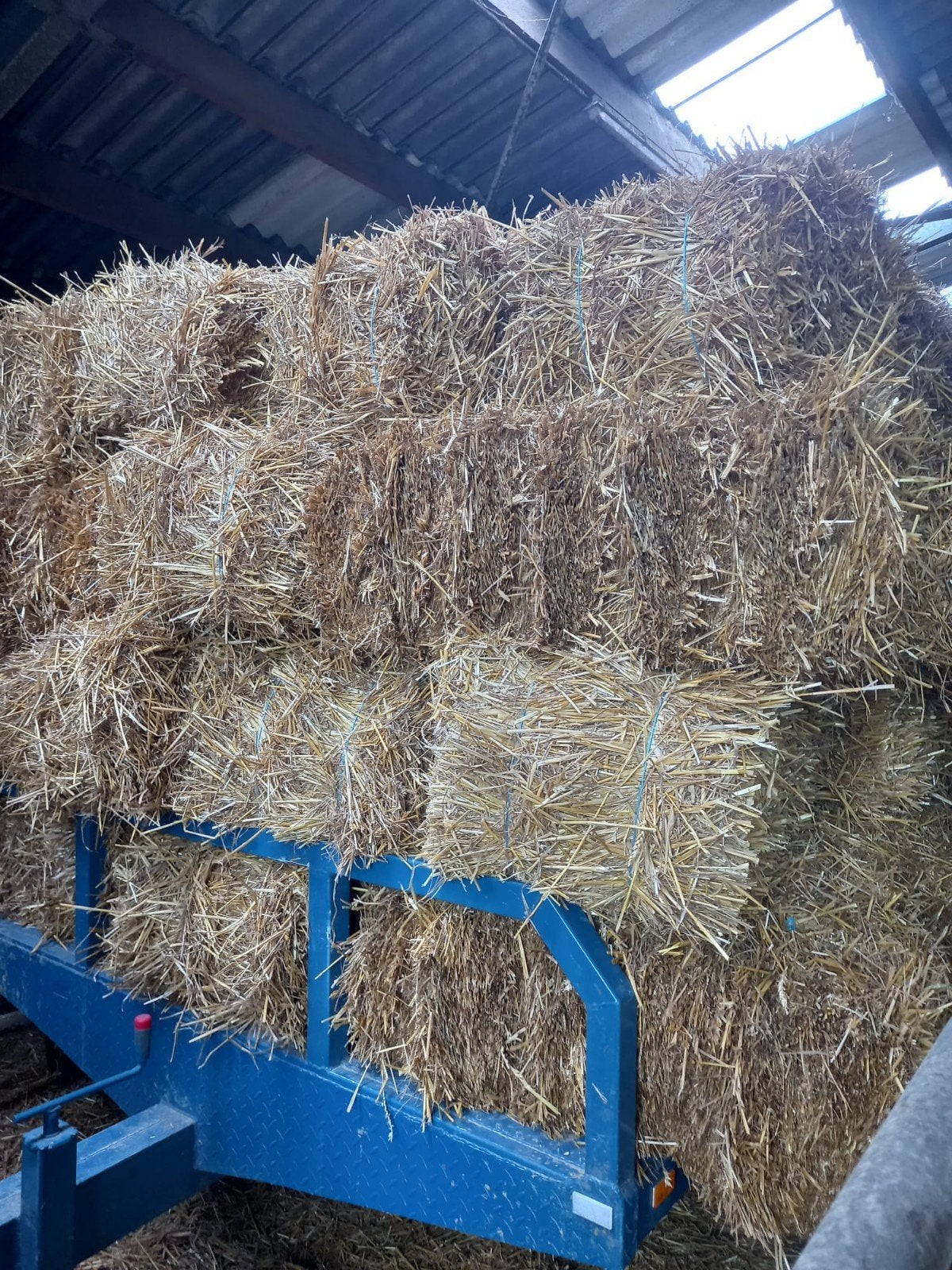 Kleine pakjes stro, Dieren en Toebehoren, Ophalen