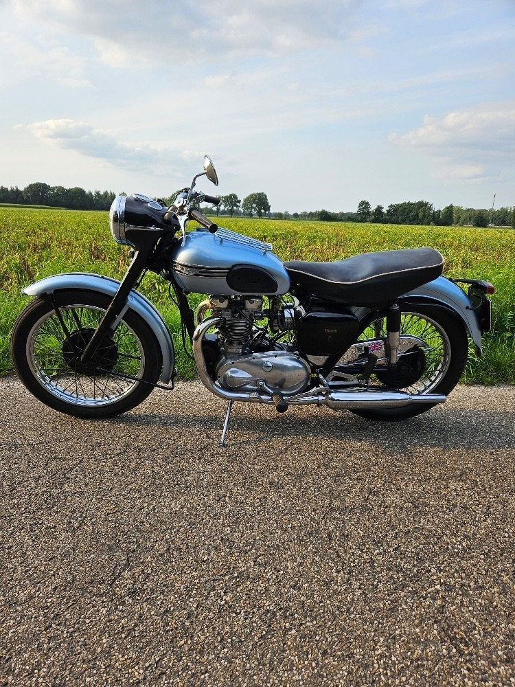 Triumph Tiger 100, Occasion, 2 cylindres, Permis Moto A2 minimum, 12 à 35 kW