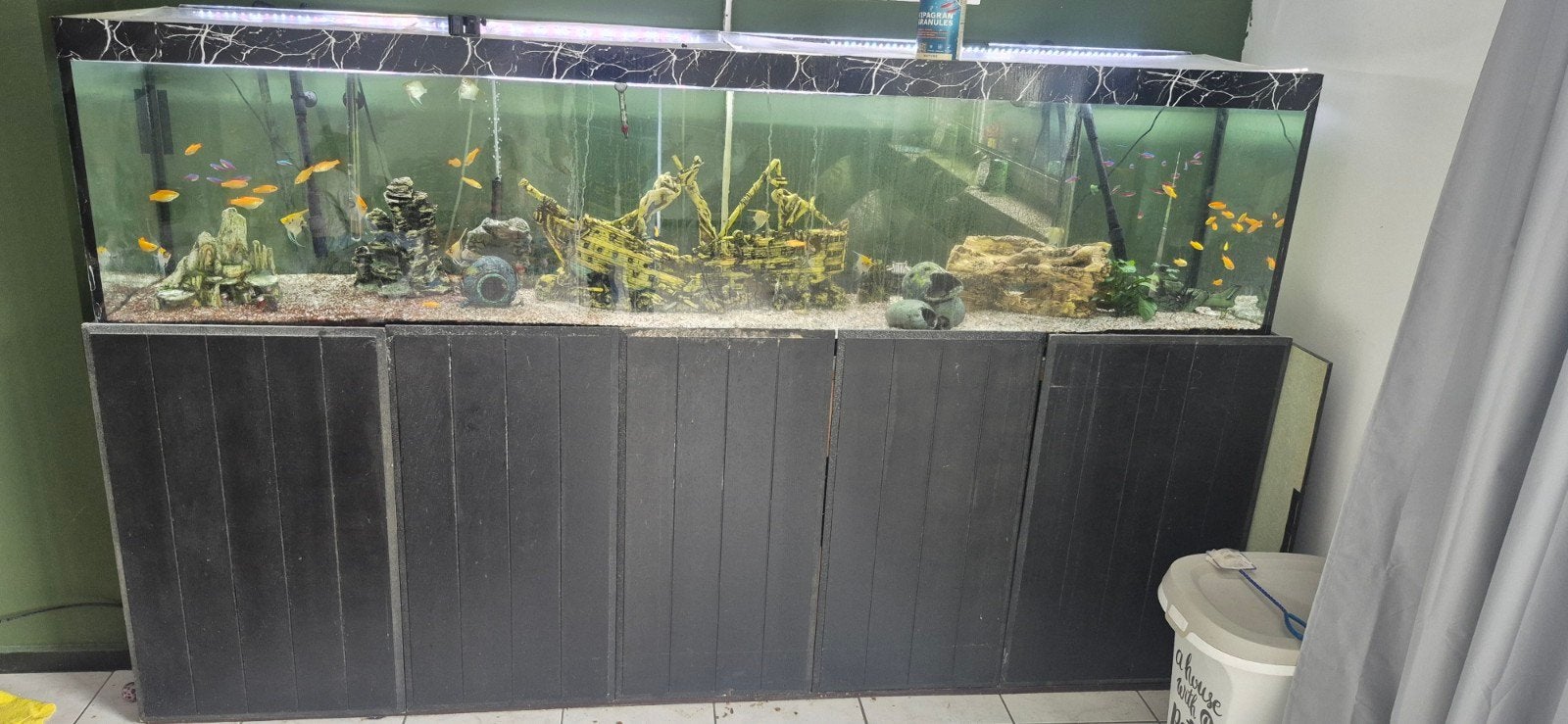 Aquarium 2m40 met vissen, Ophalen, Inclusief vissen, Gebruikt, Gevuld zoetwateraquarium