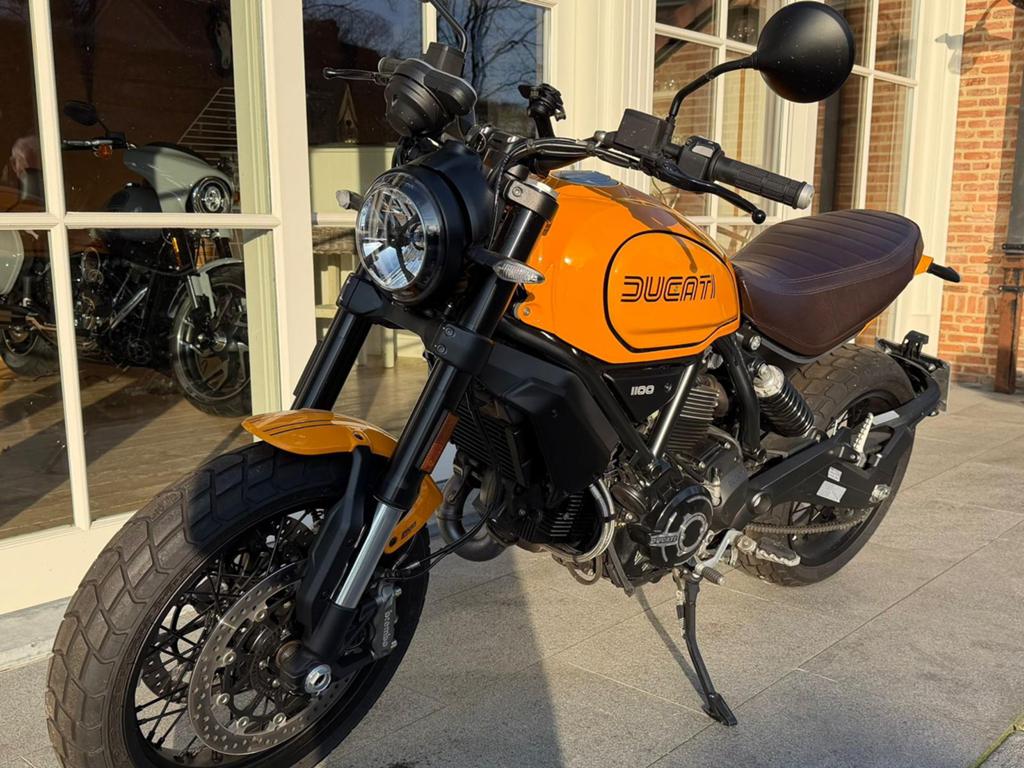 Ducati Scrambler 1100 Scrambler Tribute Pro, Motos, Motos | Ducati, Particulier, Autre, plus de 35 kW, 2 cylindres, ABS, Manuelle