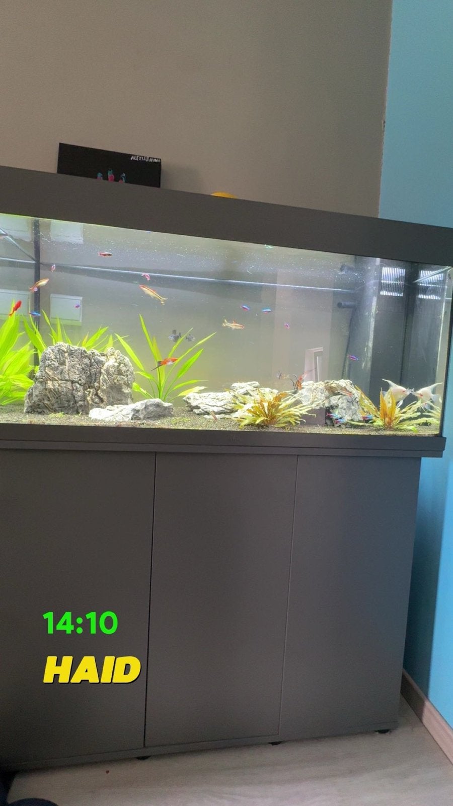 Aquarium 180L + meuble, Enlèvement, Comme neuf, Juwel