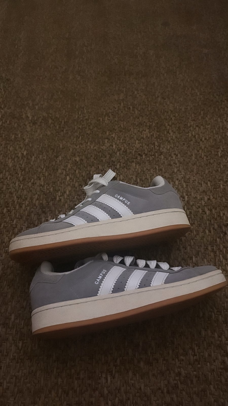 Chaussure campus neuve jamais porté , taille 36 grise, Vêtements | Femmes, Chaussures, Gris, Enlèvement ou Envoi, Sneakers et Baskets