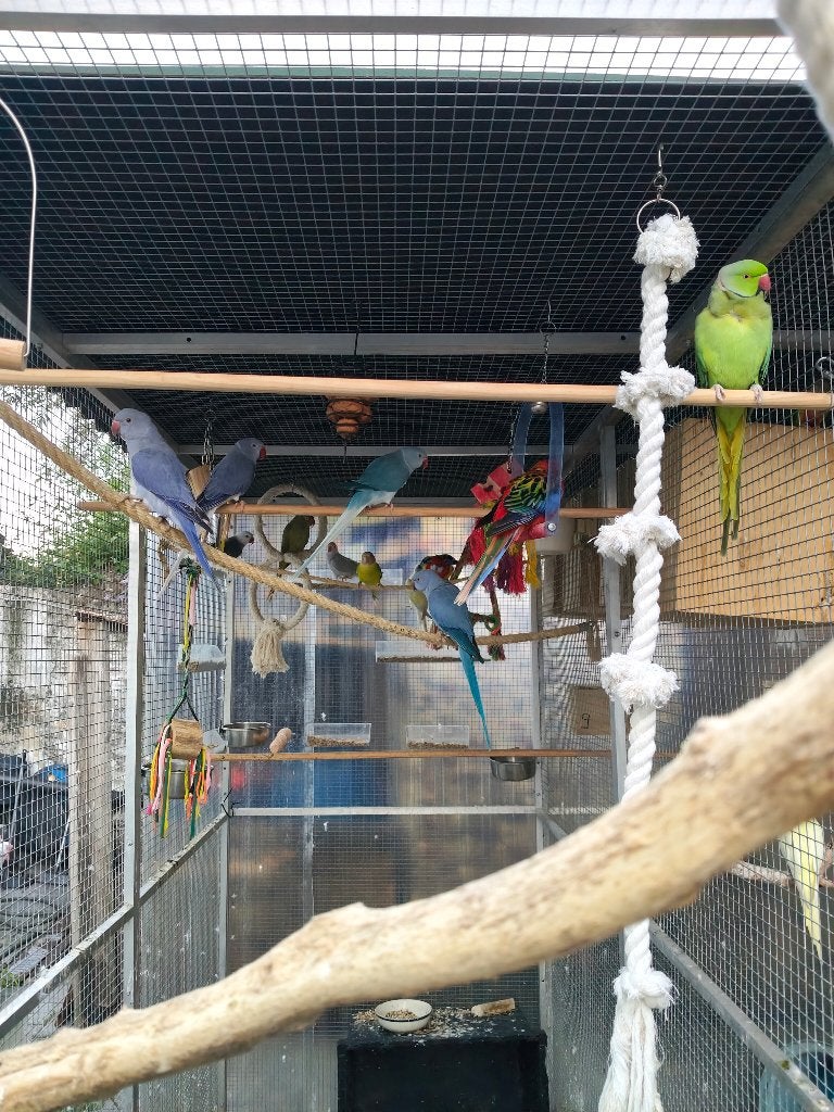 Arrêt d'élevage collier, Enlèvement, Neuf, Autres matériaux, Autres types