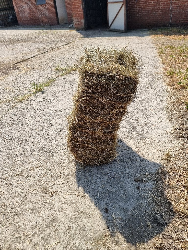 Kleine pakken hooi, Zakelijke goederen, Landbouw | Veevoer, Ophalen