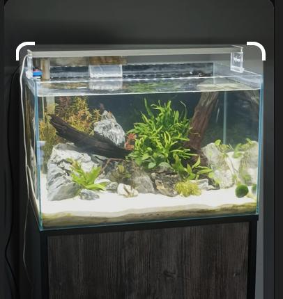 AQUASCAPER 90L superfish, Dieren en Toebehoren, Ophalen of Verzenden, Zo goed als nieuw, Leeg aquarium, Superfish