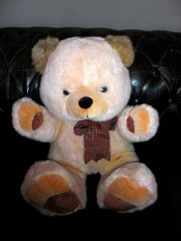 teddybeer, Ophalen of Verzenden, Nieuw, Stoffen beer, Overige merken