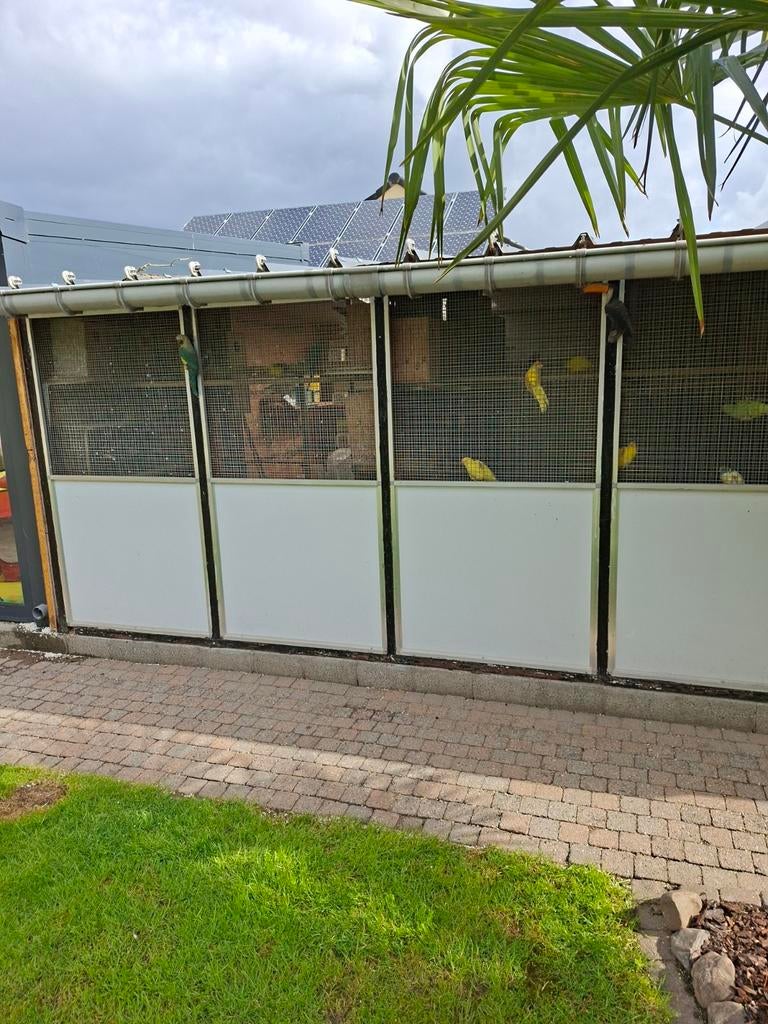 3 trespa panelen   half trespa  half draad, Ophalen