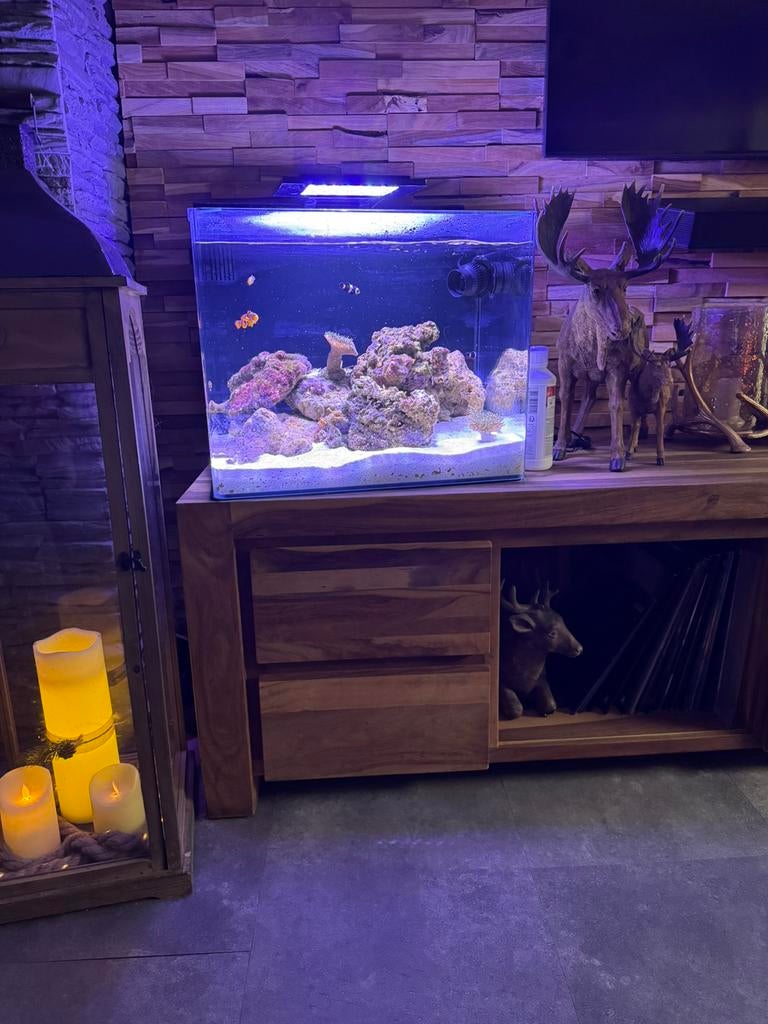 Zee aquarium te koop, Dieren en Toebehoren, Ophalen, Nieuw, Leeg aquarium, Blue Marine