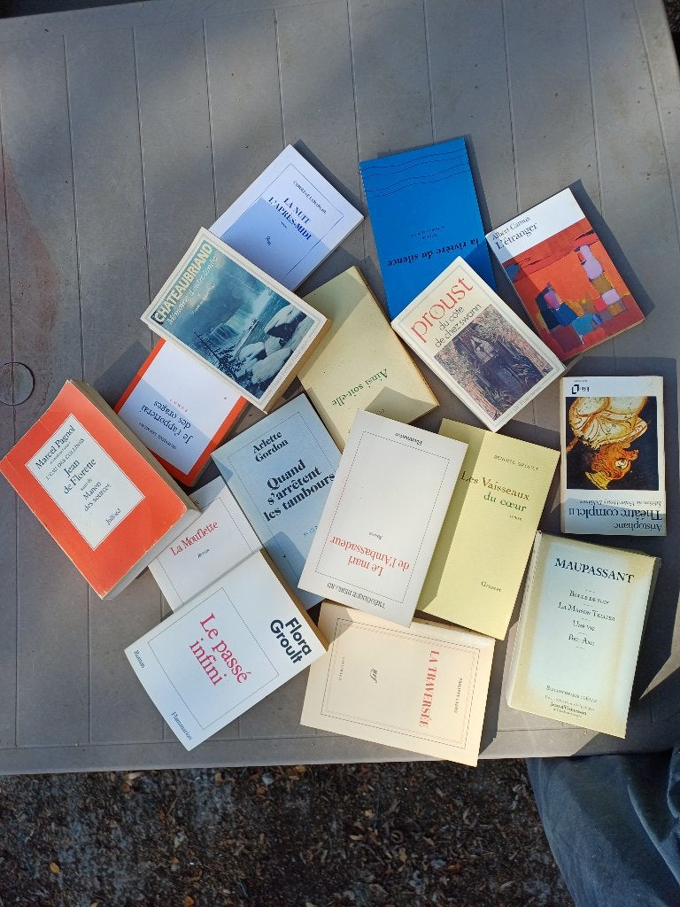 180 Livres de littérature en bon états à donner gratuitement, Enlèvement, Utilisé, Divers auteurs, Europe autre