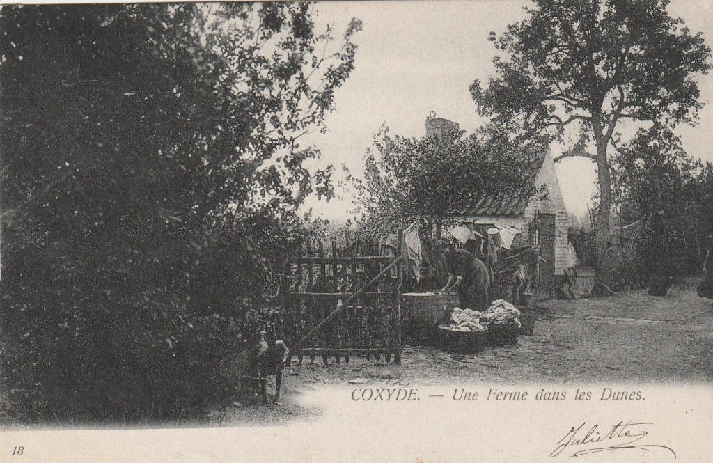 Coxyde de Coxyde, Envoi
