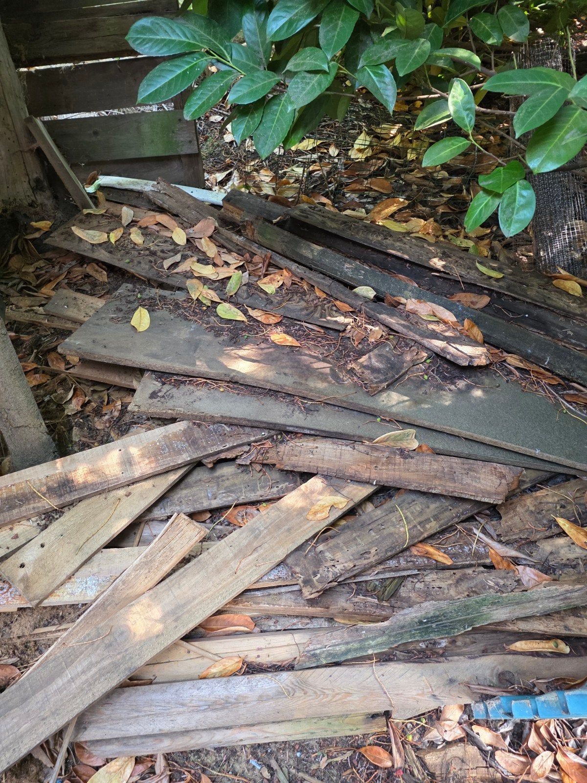 gratis brandhout, Ophalen