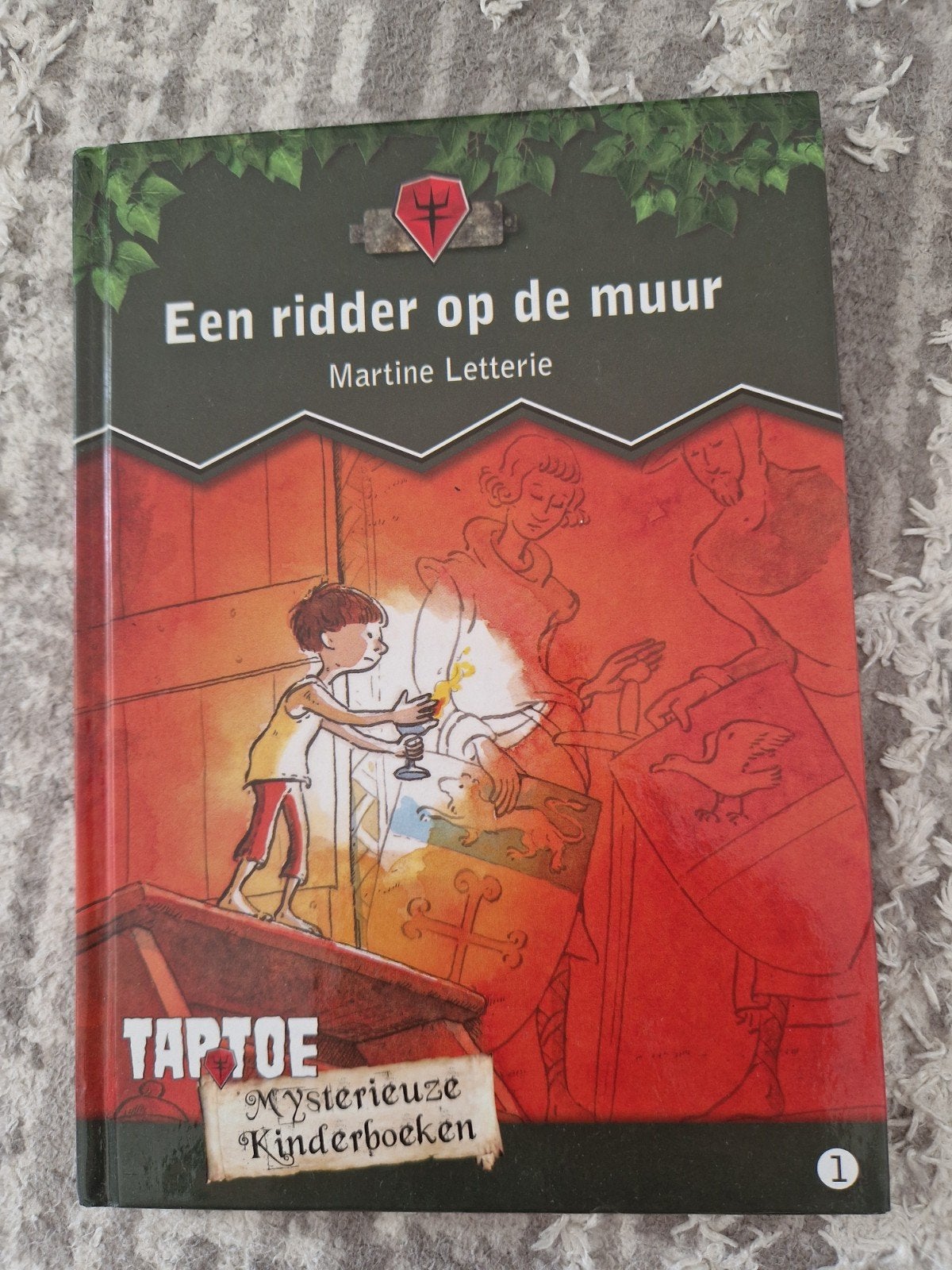 Boek een ridder op de muur, Ophalen of Verzenden