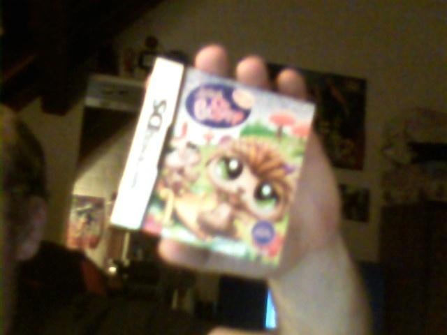 Manuel Nintendo DS Littelst Pet Shop
