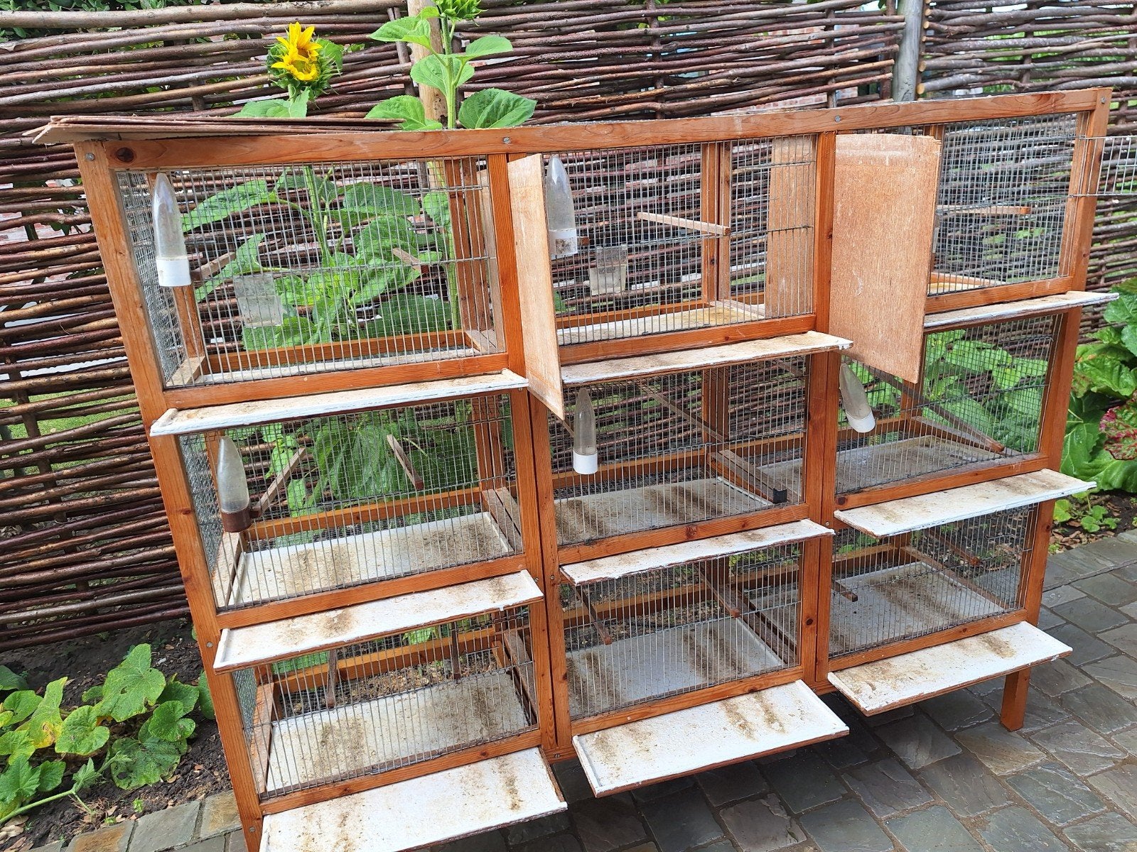 vogel (kweek) kooi, Animaux & Accessoires, Oiseaux | Cages & Volières, Enlèvement, Cage à oiseaux