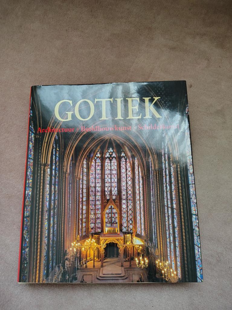 Boek Gotiek, Boeken, Kunst en Cultuur | Architectuur, Ophalen of Verzenden