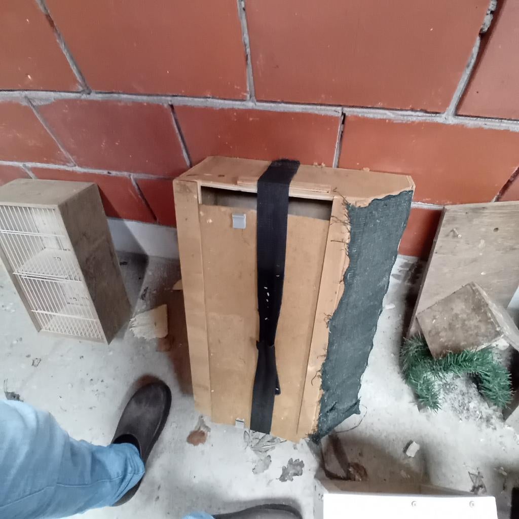 kan opgehaald worden in mol of ekeren, Dieren en Toebehoren, Ophalen