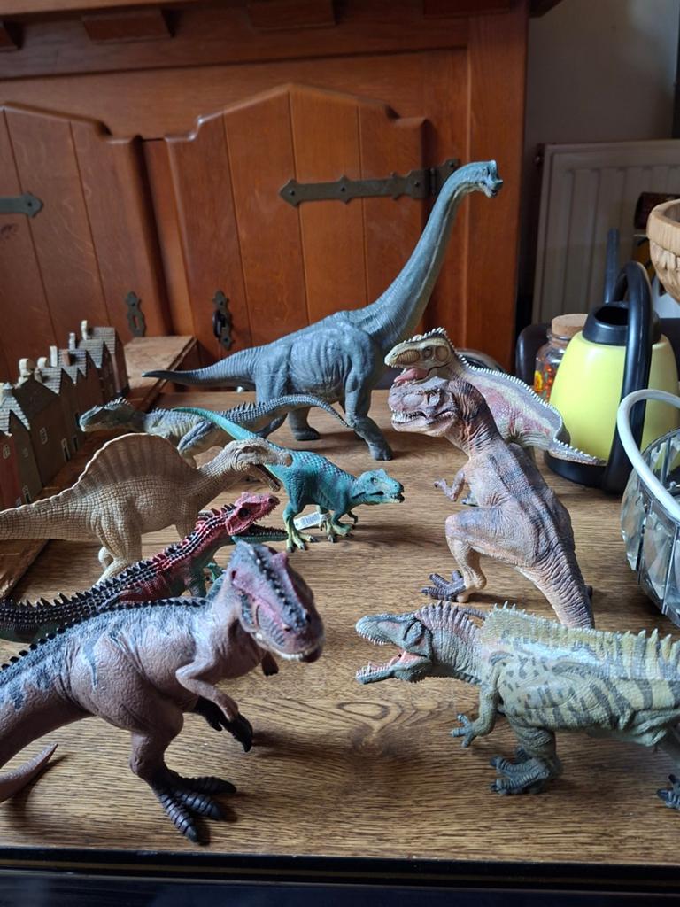 Lot de 9 dinosaures schleich, Enlèvement