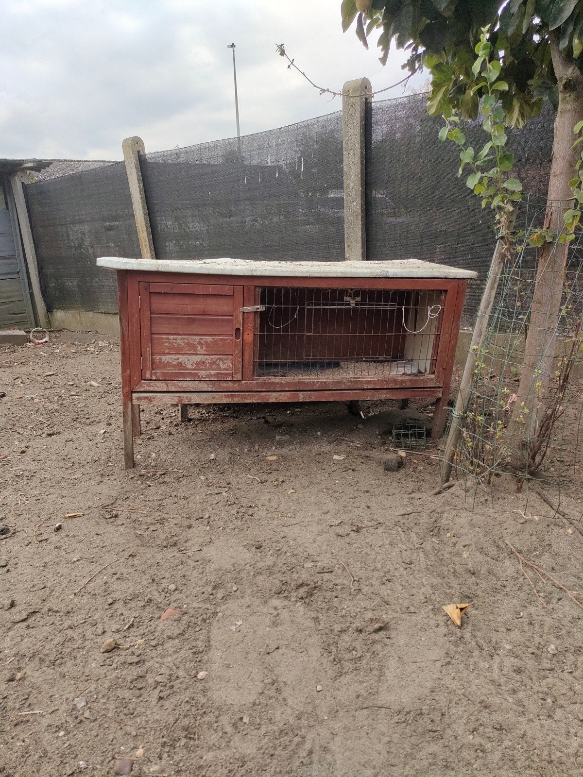 konijnenhok, Dieren en Toebehoren, Ophalen