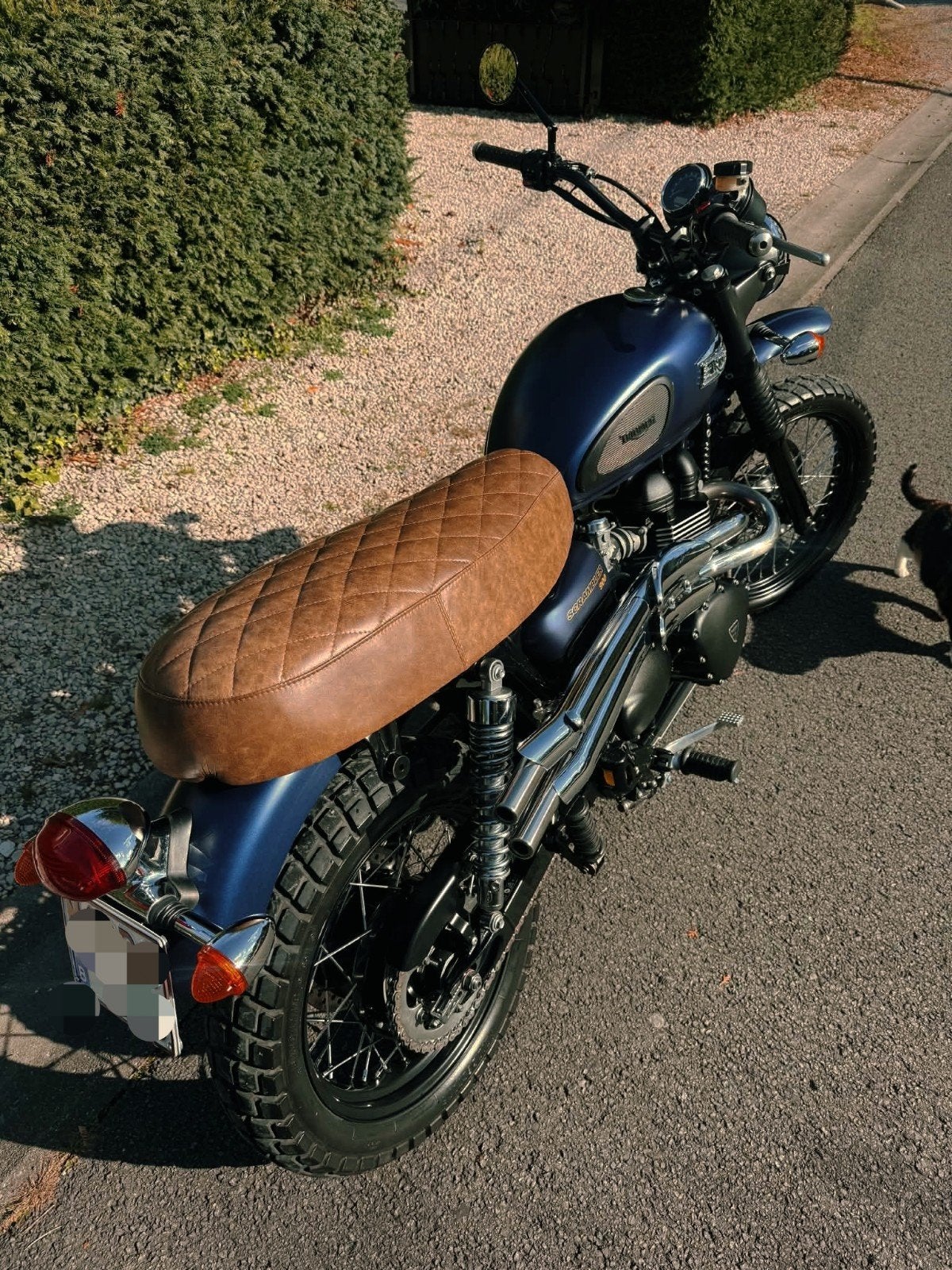 Selle Triumph, Particulier