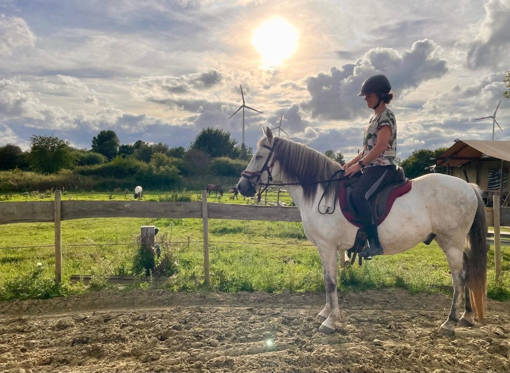 Knappe Cruzado Ruin 12 jaar, Dieren en Toebehoren, Gechipt, Minder dan 160 cm, B, Ruin