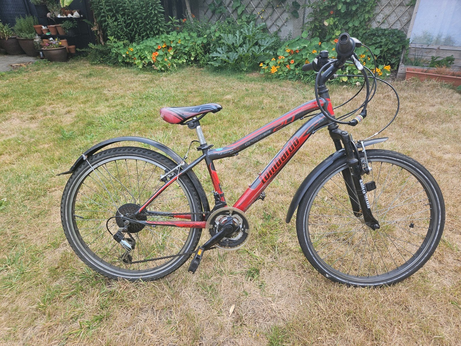 Kinderfiets, Enlèvement