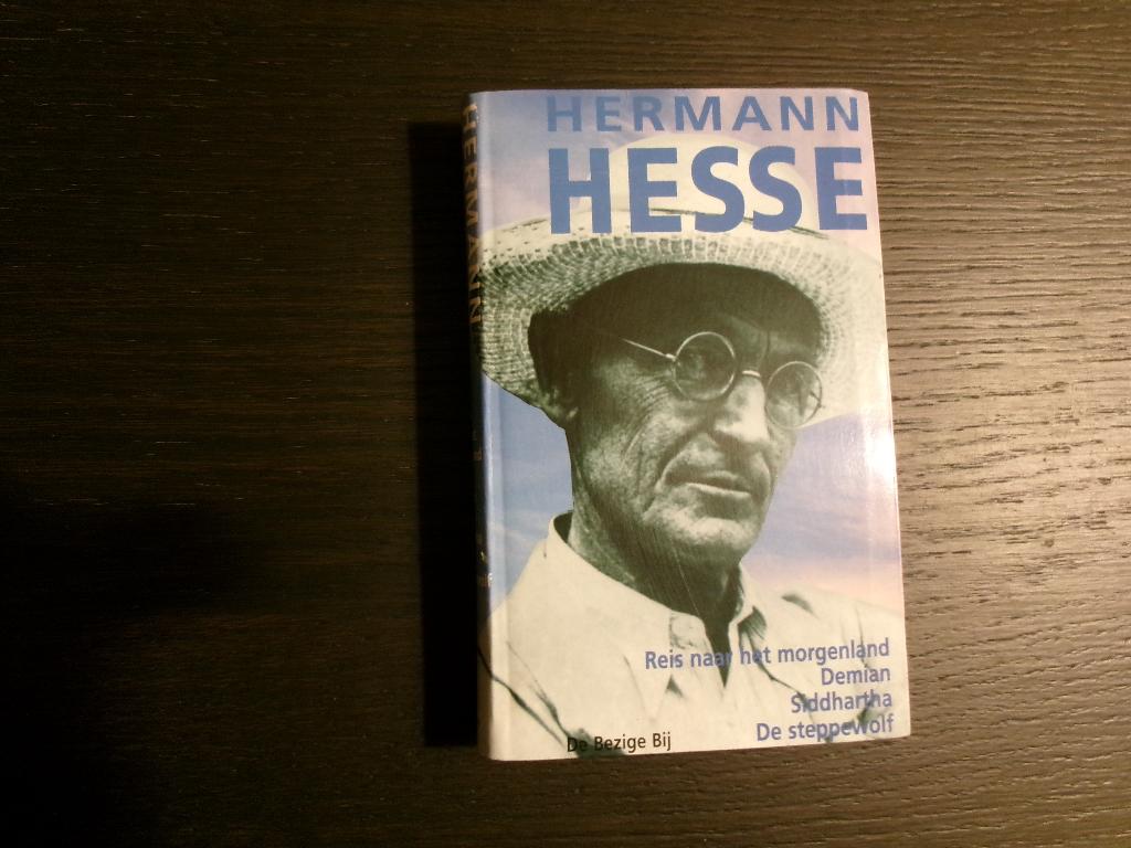 Omnibus Herman Hesse, Livres, Littérature, Enlèvement ou Envoi