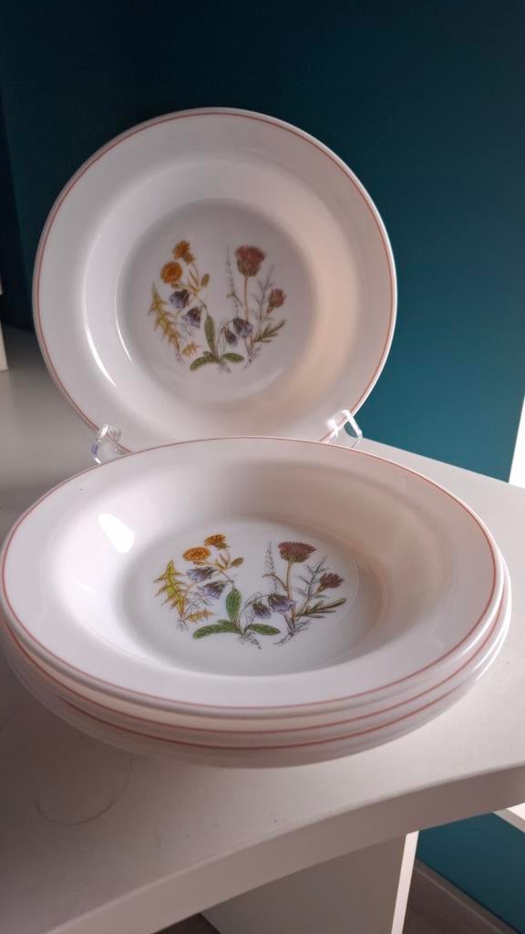 5 assiettes creuses Arcopal, Maison & Meubles, Verre