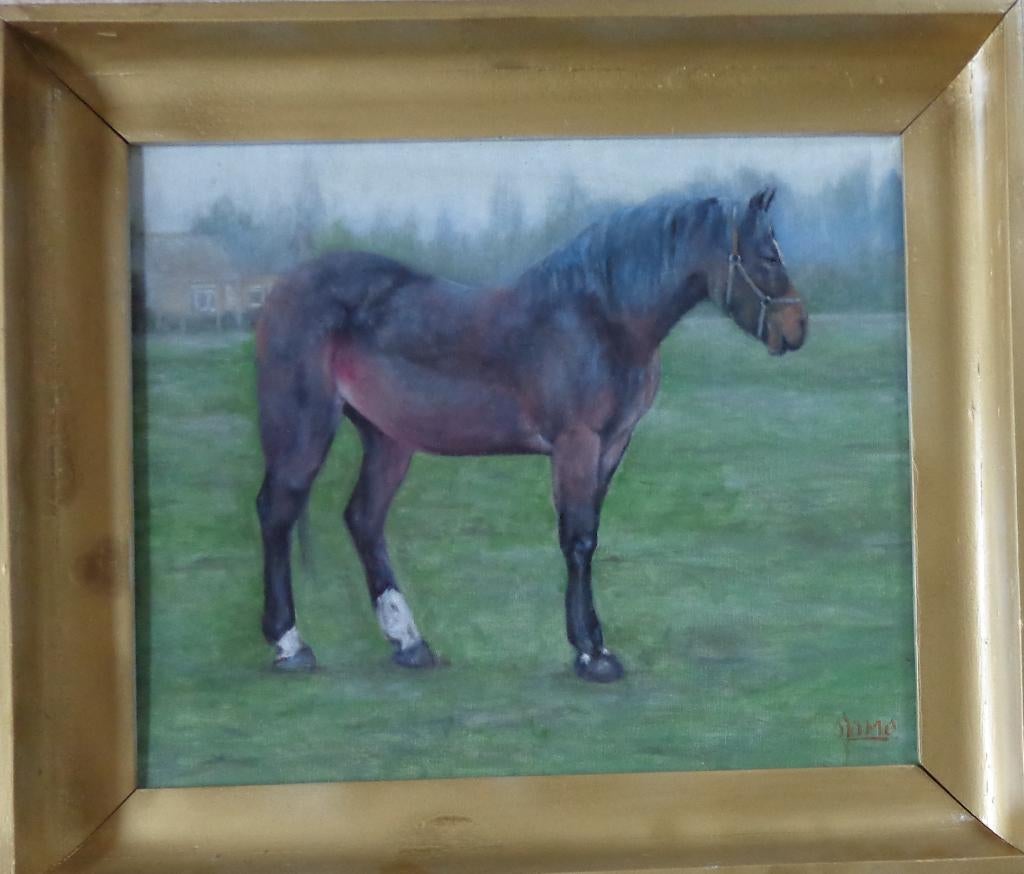 O. JOMO / PAARD IN DE WEIDE / OLIEVERF / 65x75x6cm / KADER, Enlèvement, Signé, Peinture à l'huile, Toile