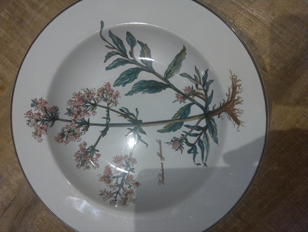 Villeroy en Boch Botanica, Huis en Inrichting, Keuken | Servies, Ophalen of Verzenden, Bord(en)