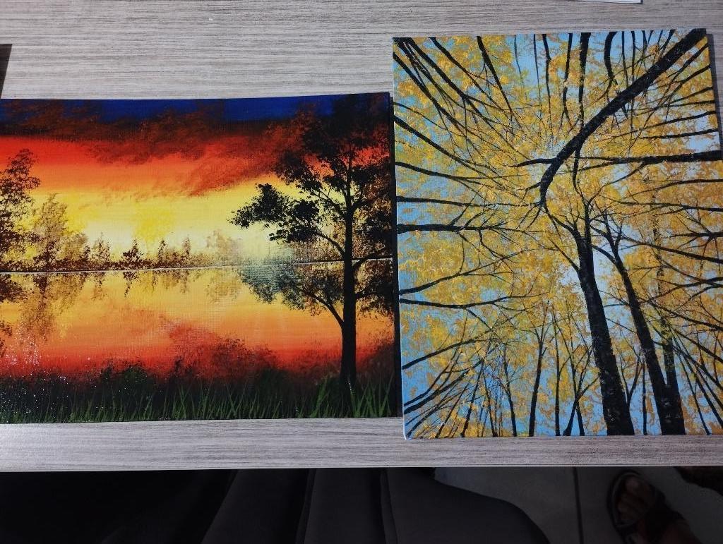 Schilderijen natuur 20 op 30 CM, Enlèvement ou Envoi