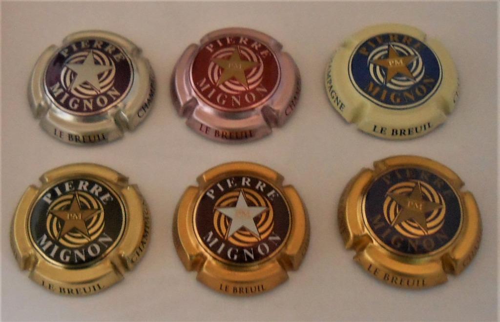 6 champagne capsules  Pierre Mignon 6 verschillende kleuren, Ophalen of Verzenden, Zo goed als nieuw