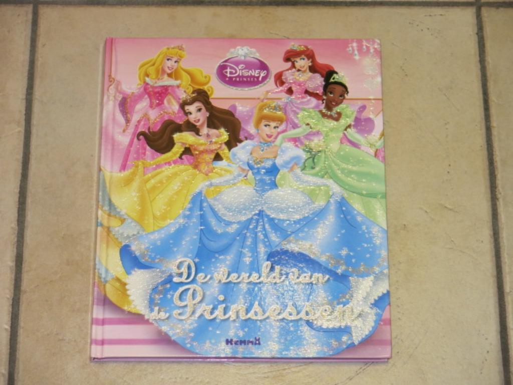 Groot boek De wereld van de Prinsessen, NIEUW, Boeken, Ophalen of Verzenden, Nieuw, Sprookjes