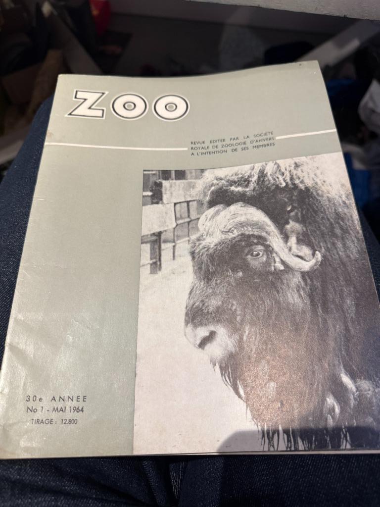 ZOO, société royale de zoologie d'Anvers, mai 1964, Envoi