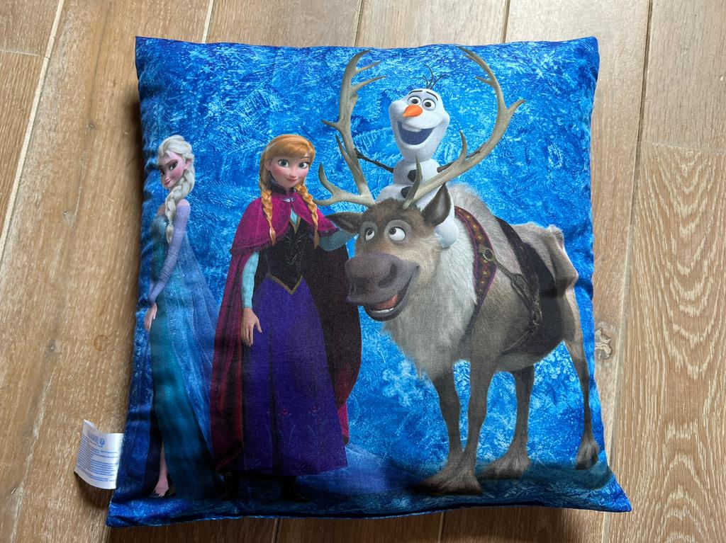 Splinternieuw sierkussen van Frozen van Disney, Enlèvement ou Envoi, Neuf, Tapis ou Coussin