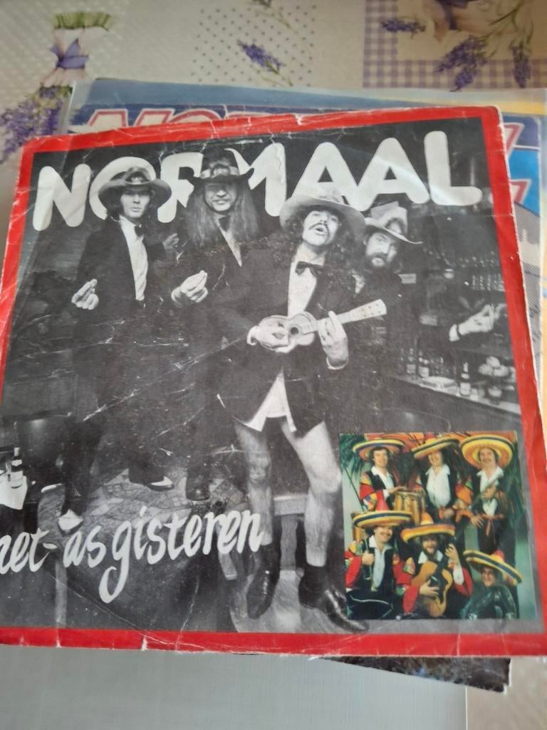 Normaal, Cd's en Dvd's, Vinyl | Nederlandstalig, Ophalen of Verzenden, Zo goed als nieuw, Rock