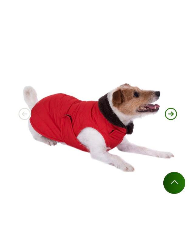 Manteau chien 30 cm neuf, Enlèvement ou Envoi, Comme neuf