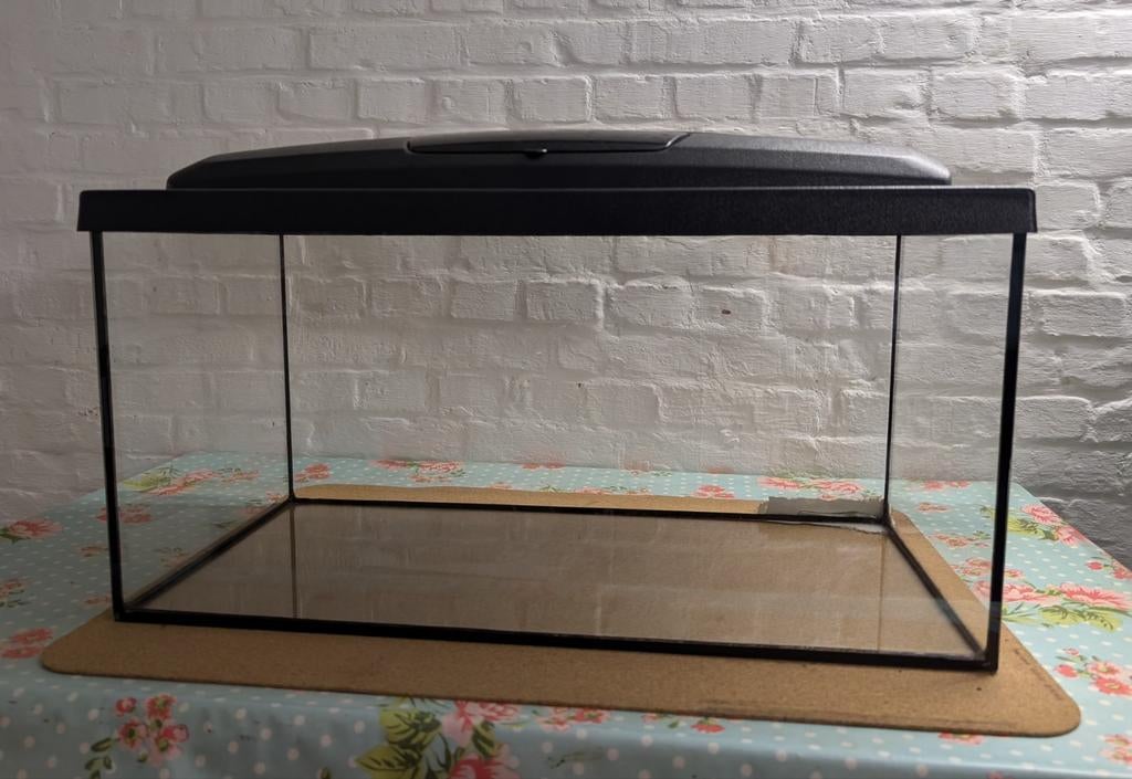 Aquarium 54l met verlichting en deksel, Dieren en Toebehoren, Vissen | Aquaria en Toebehoren, Ophalen, Gebruikt, Leeg aquarium