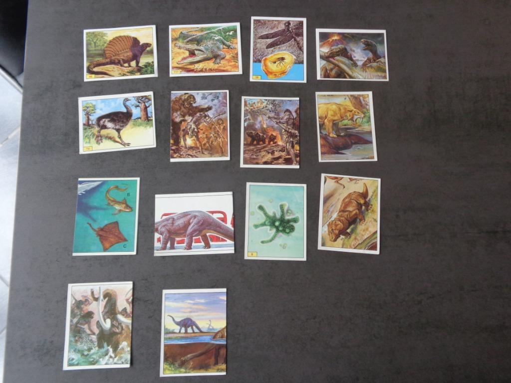 39 chromos Panini divers (voir photo), Collections, Enlèvement
