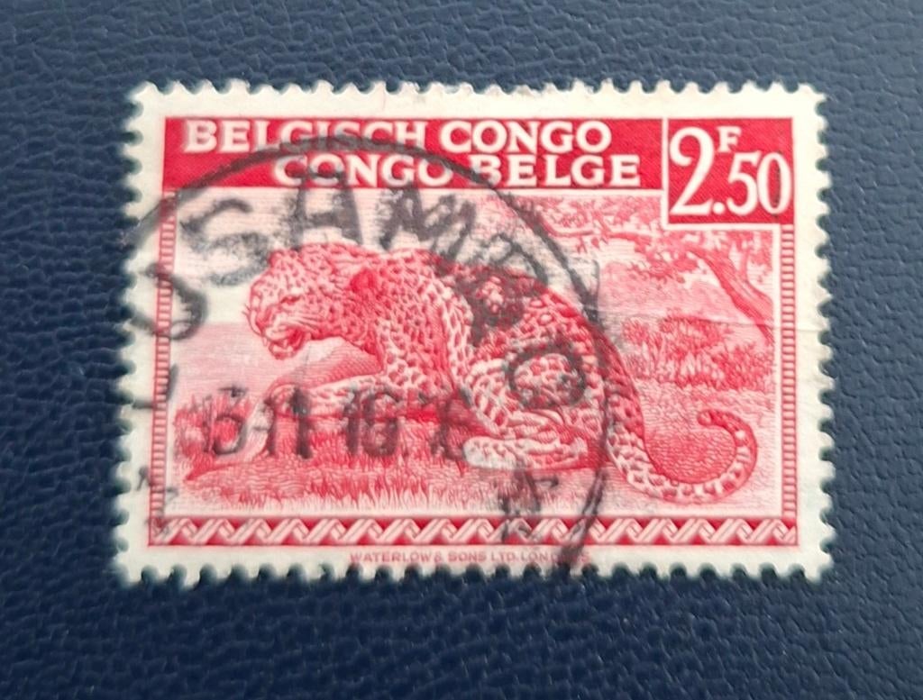 Postzegel Belgisch Congo OBP 241, gestempeld, Ophalen of Verzenden, Gestempeld, Gestempeld