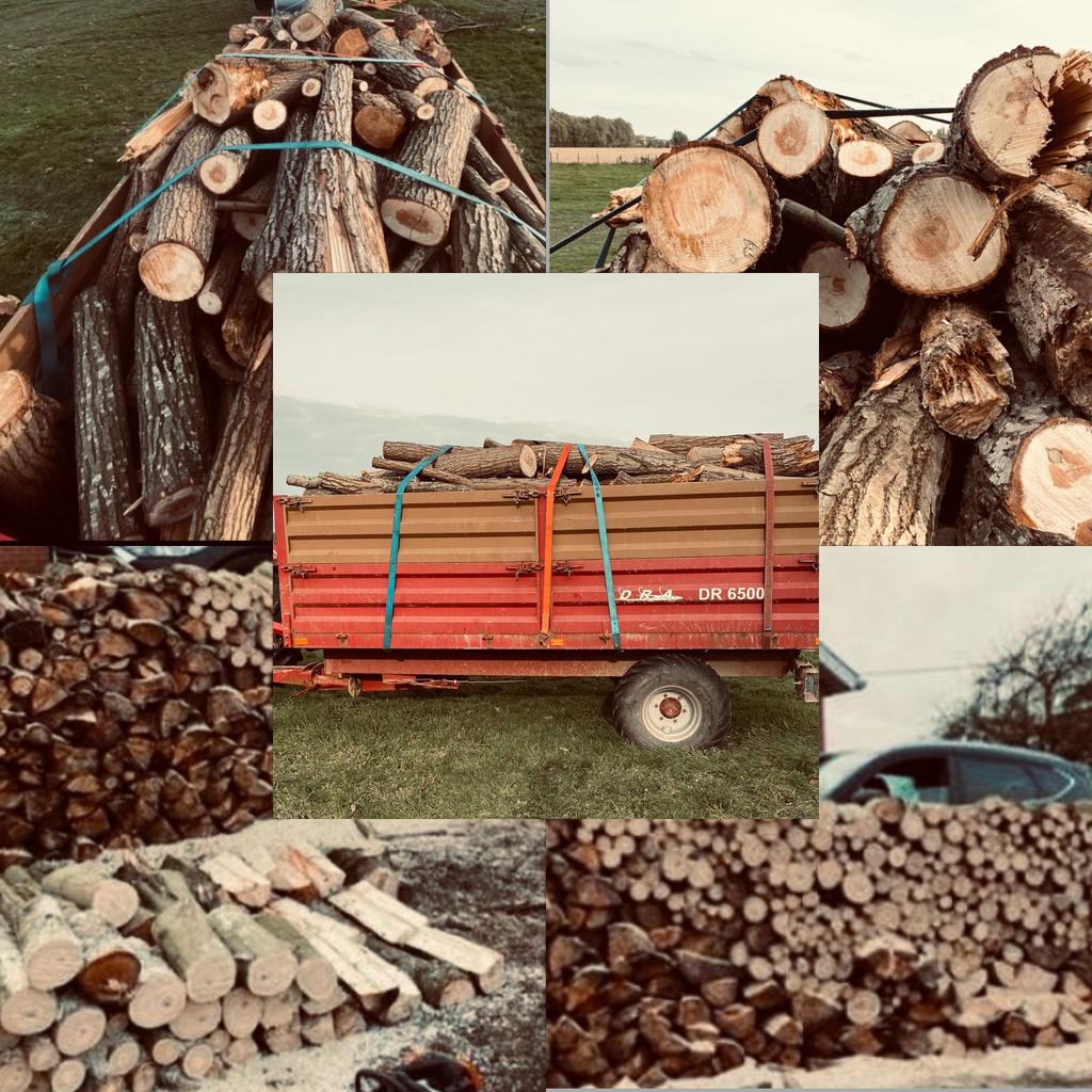 Gekliefd wilgenhout / stam – ideaal  voor de winter!l, Tuin en Terras, Brandhout, 6 m³ of meer, Ophalen, Overige houtsoorten, Blokken