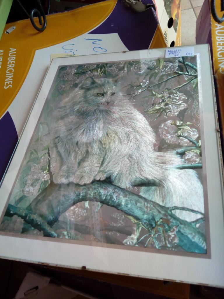 2 Foto kader poezen, Ophalen, Minder dan 50 cm, Gebruikt, Foto of Poster